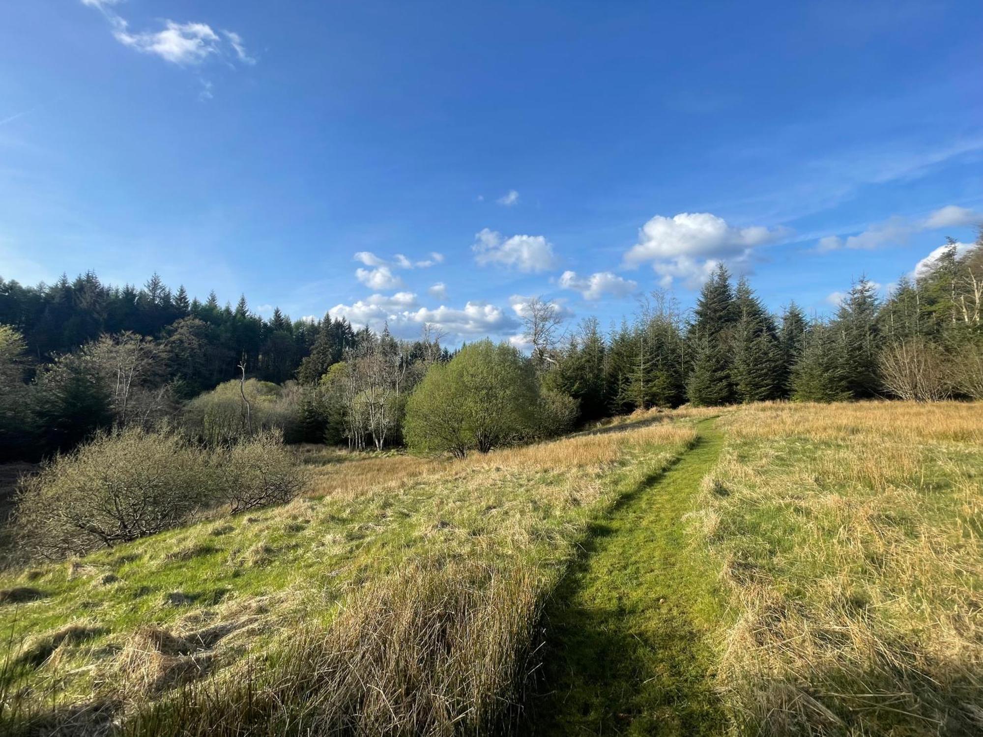 The Steading At Barmore Stonefield エクステリア 写真